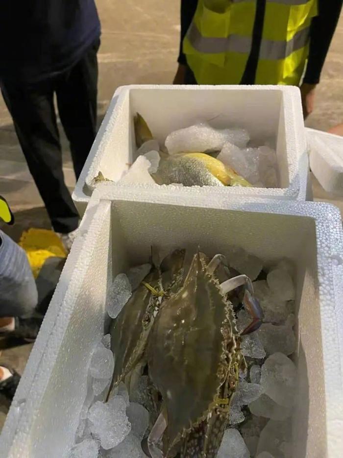 上海低空经济发展已从“野蛮生长”迈向“各有侧重”(图4)