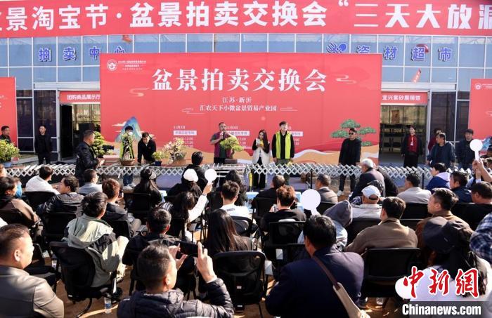 超百万盆创意盆景汇聚江苏新沂参加盆景贸易发展大会(图1)