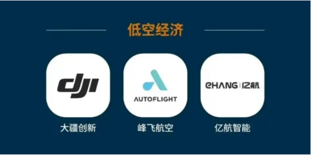 长三角绿洲智谷·赵巷：低空经济、人工智能与新能源产业正璀璨绽放(图2)